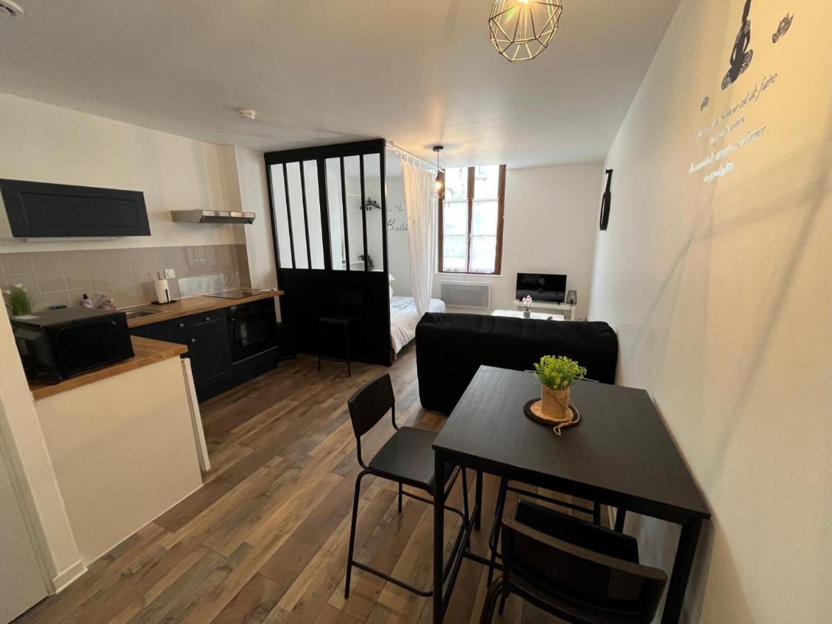Residence 3 Studios De Charme Dans Centre Proche Cathedrale, Parking Possible A Prox Orleans Ngoại thất bức ảnh